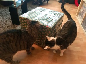 Max und Fox mit Paket