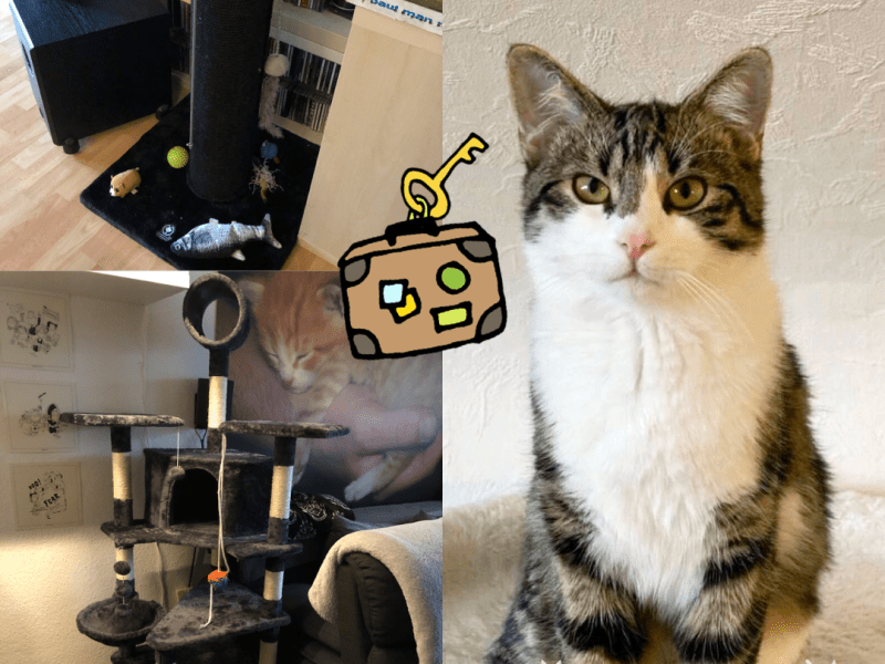 That‘s how the story&nbsp;goes