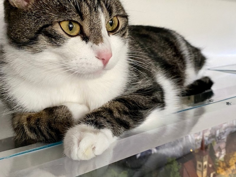 Der 19. April ist der tollste&nbsp;Tag!