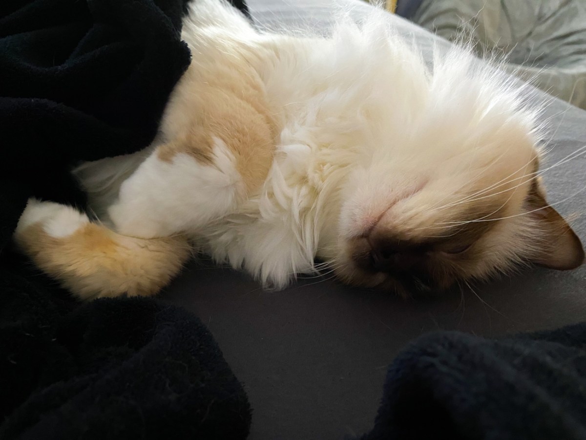 Die Sache mit dem&nbsp;Bürsten